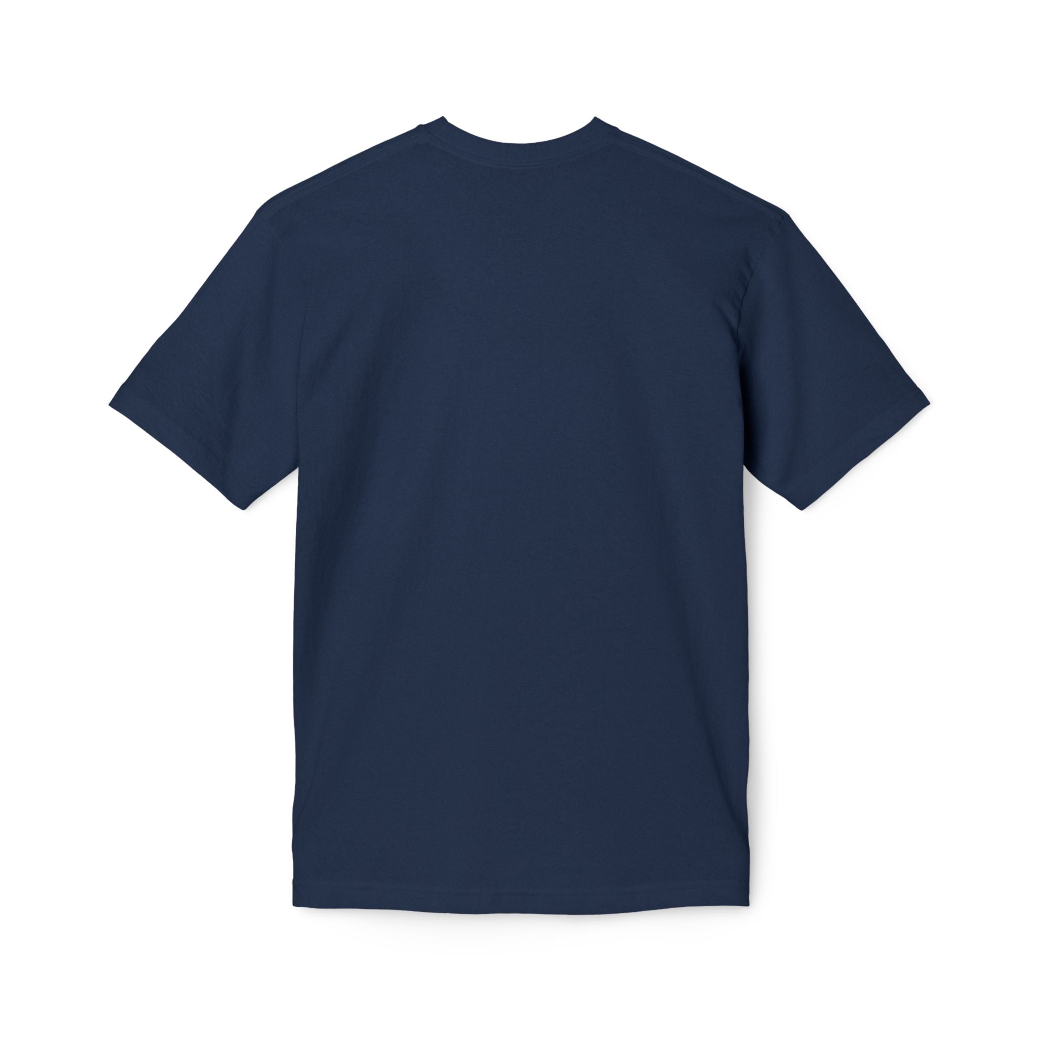 King of Kings Lion T-Shirt – Born of Faith Christian Graphic Tee