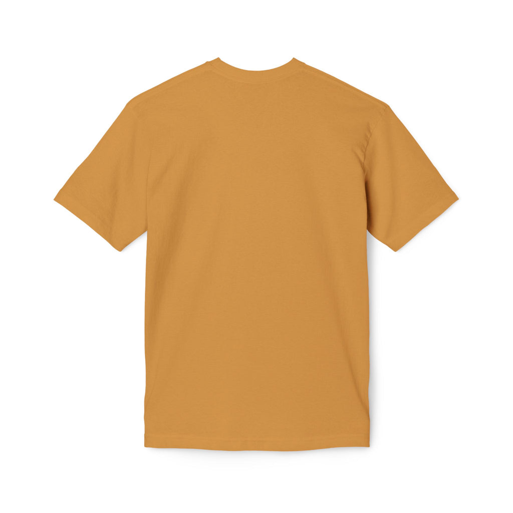King of Kings Lion T-Shirt – Born of Faith Christian Graphic Tee