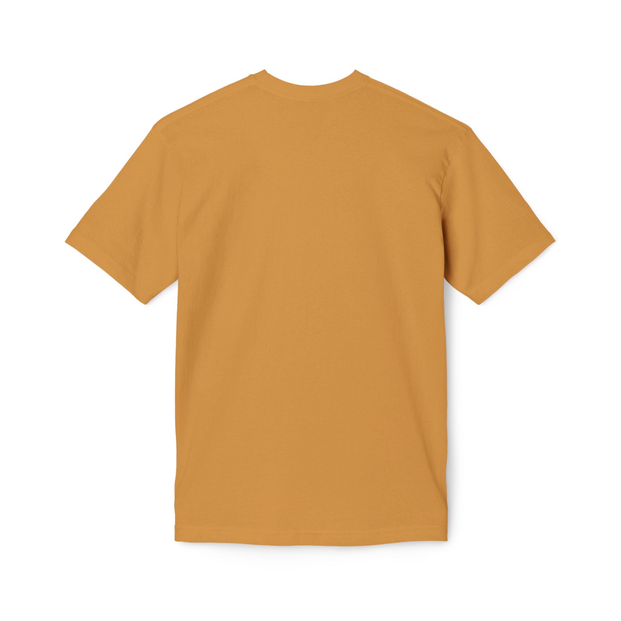 King of Kings Lion T-Shirt – Born of Faith Christian Graphic Tee
