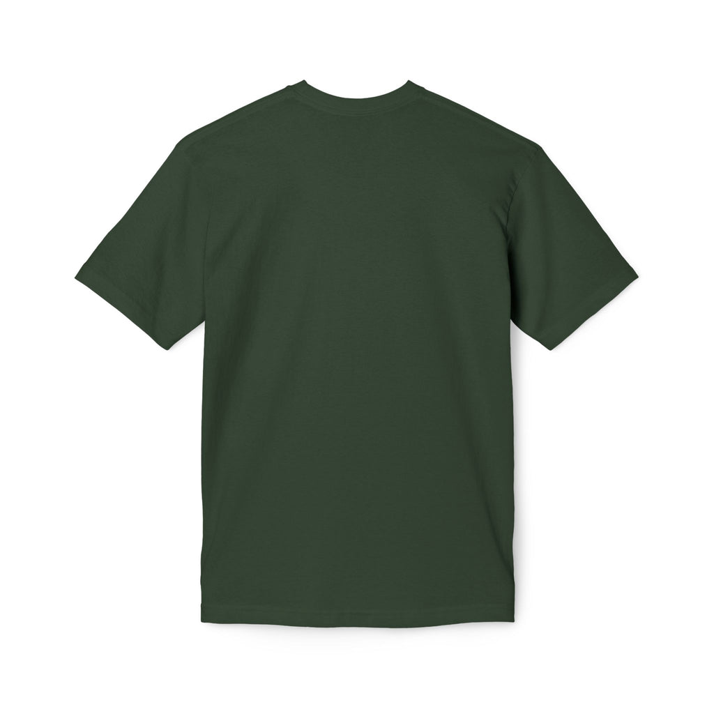 King of Kings Lion T-Shirt – Born of Faith Christian Graphic Tee