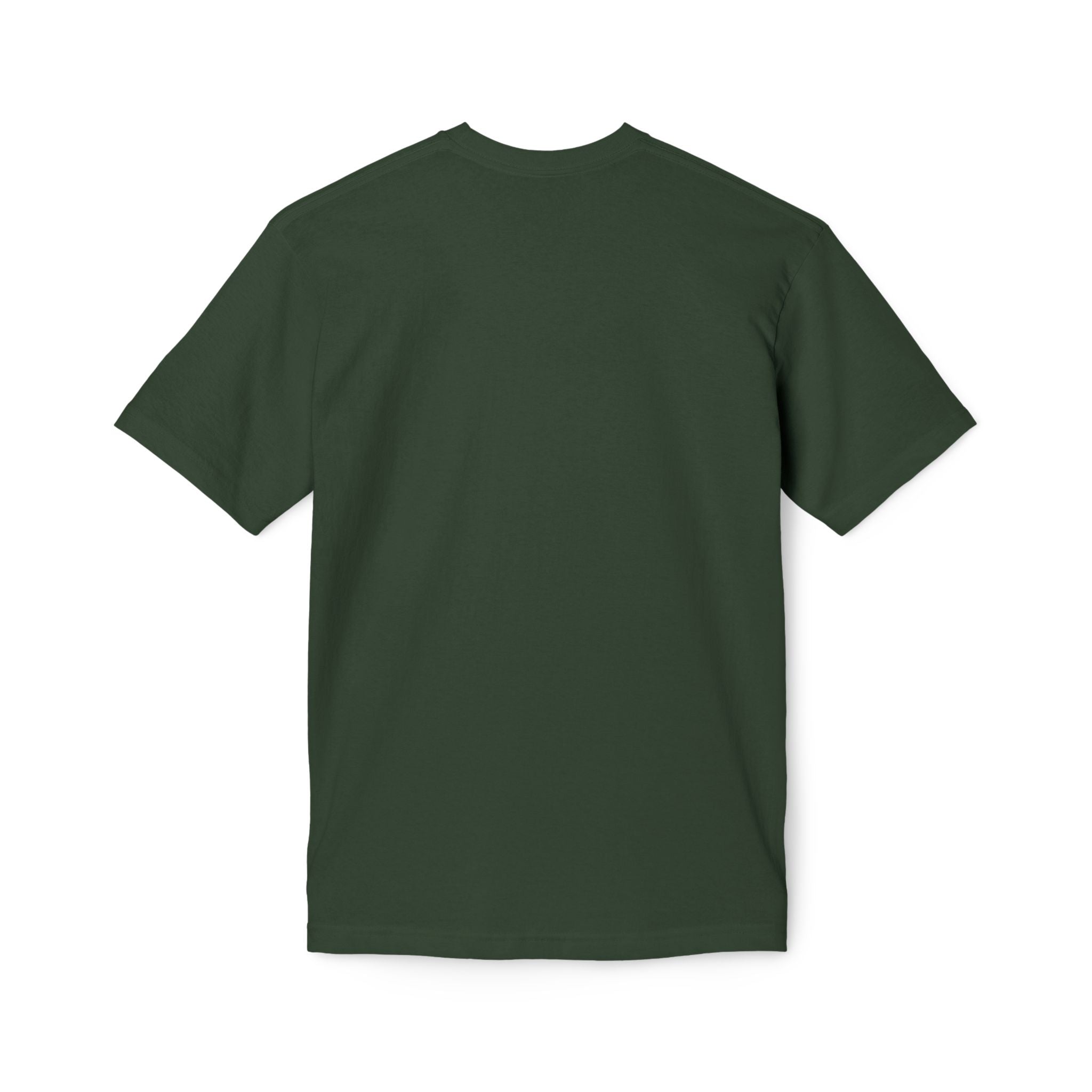 King of Kings Lion T-Shirt – Born of Faith Christian Graphic Tee