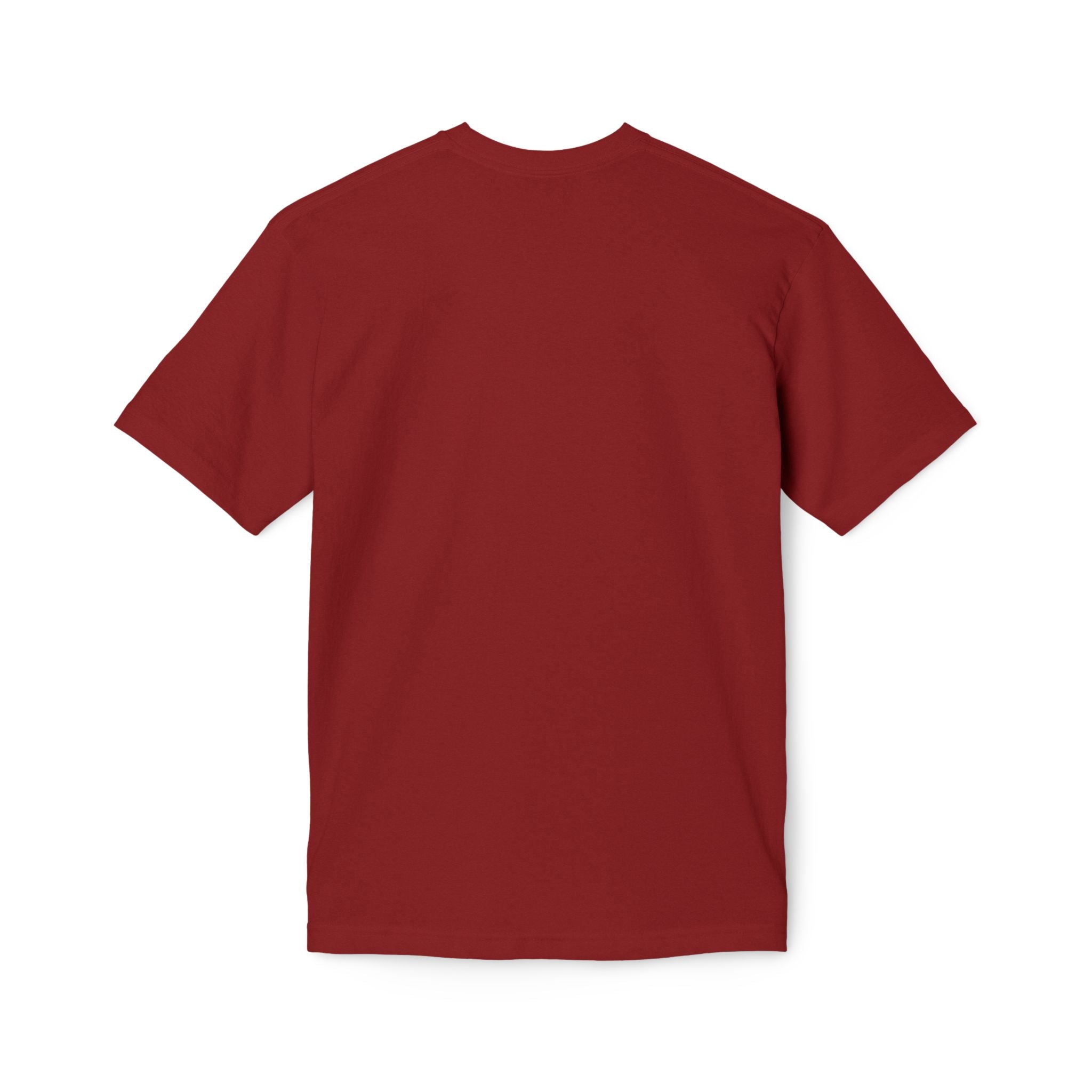 King of Kings Lion T-Shirt – Born of Faith Christian Graphic Tee