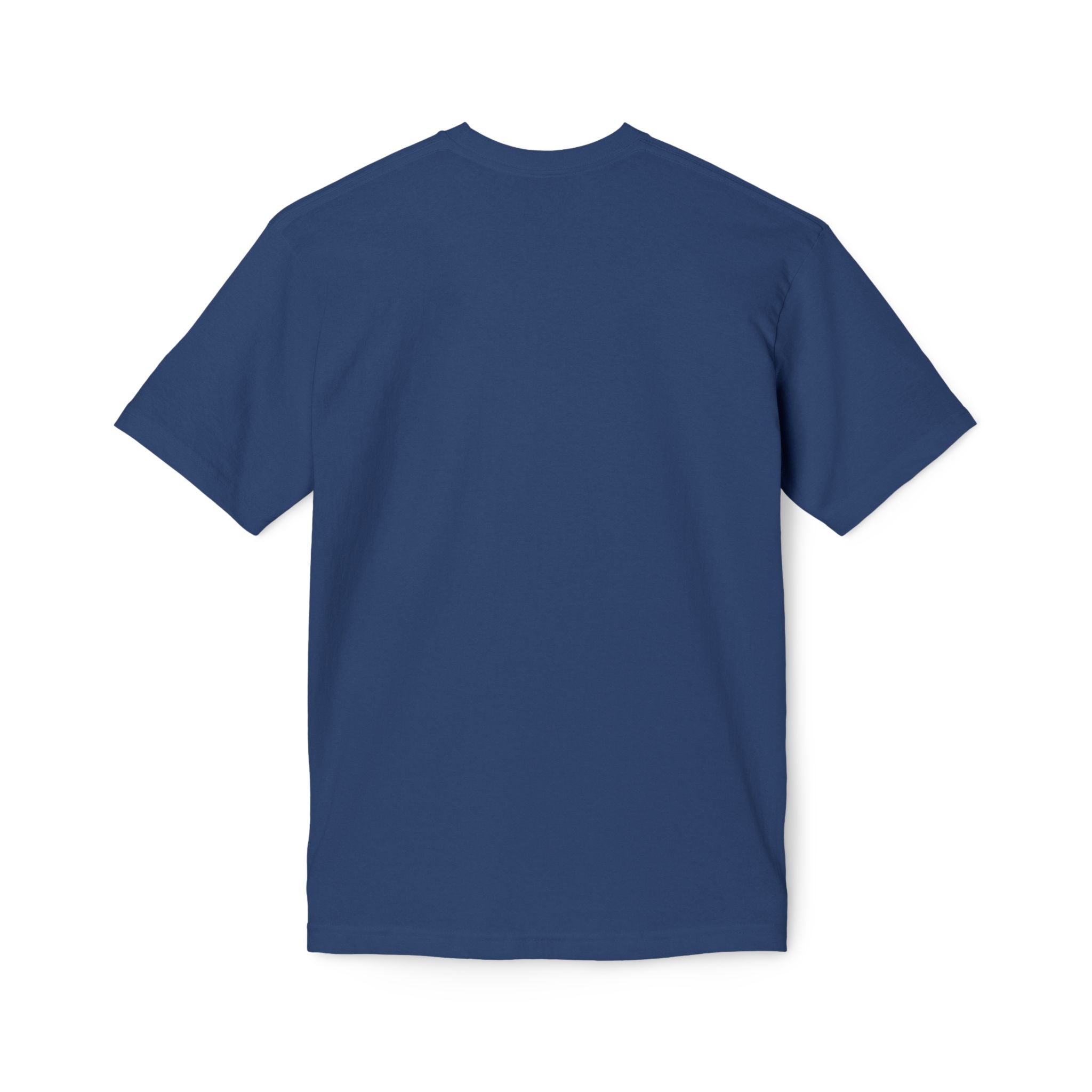 King of Kings Lion T-Shirt – Born of Faith Christian Graphic Tee