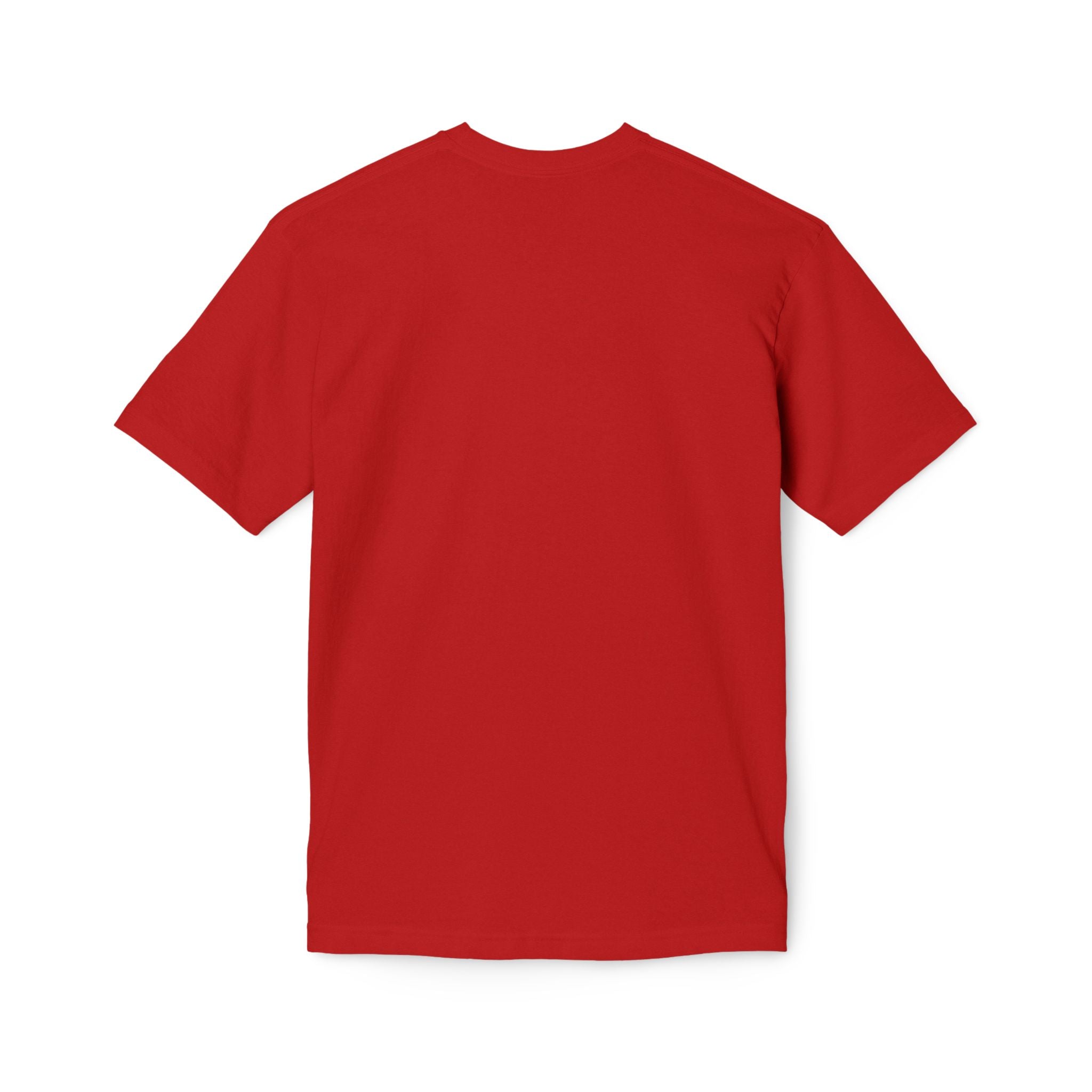 King of Kings Lion T-Shirt – Born of Faith Christian Graphic Tee