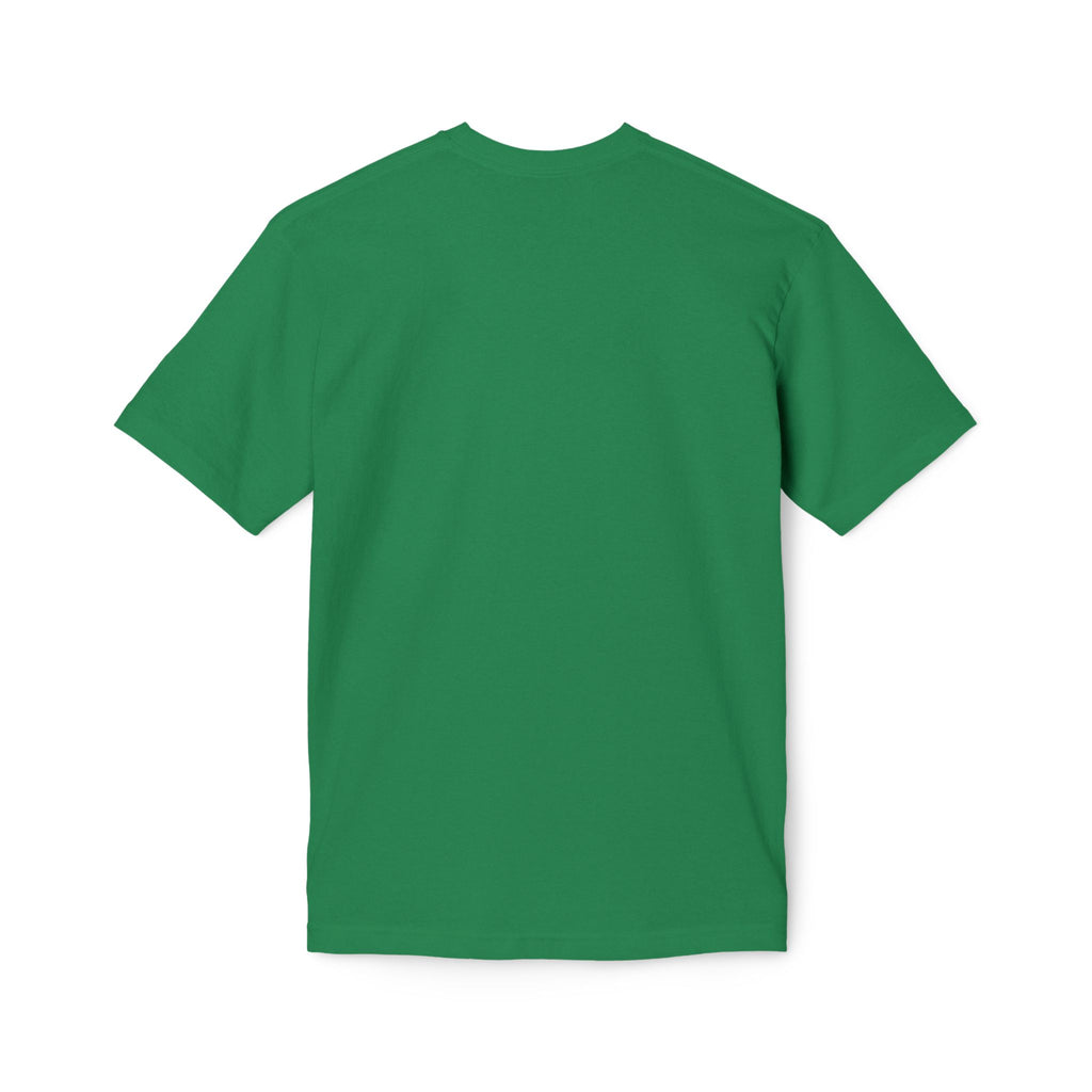 King of Kings Lion T-Shirt – Born of Faith Christian Graphic Tee