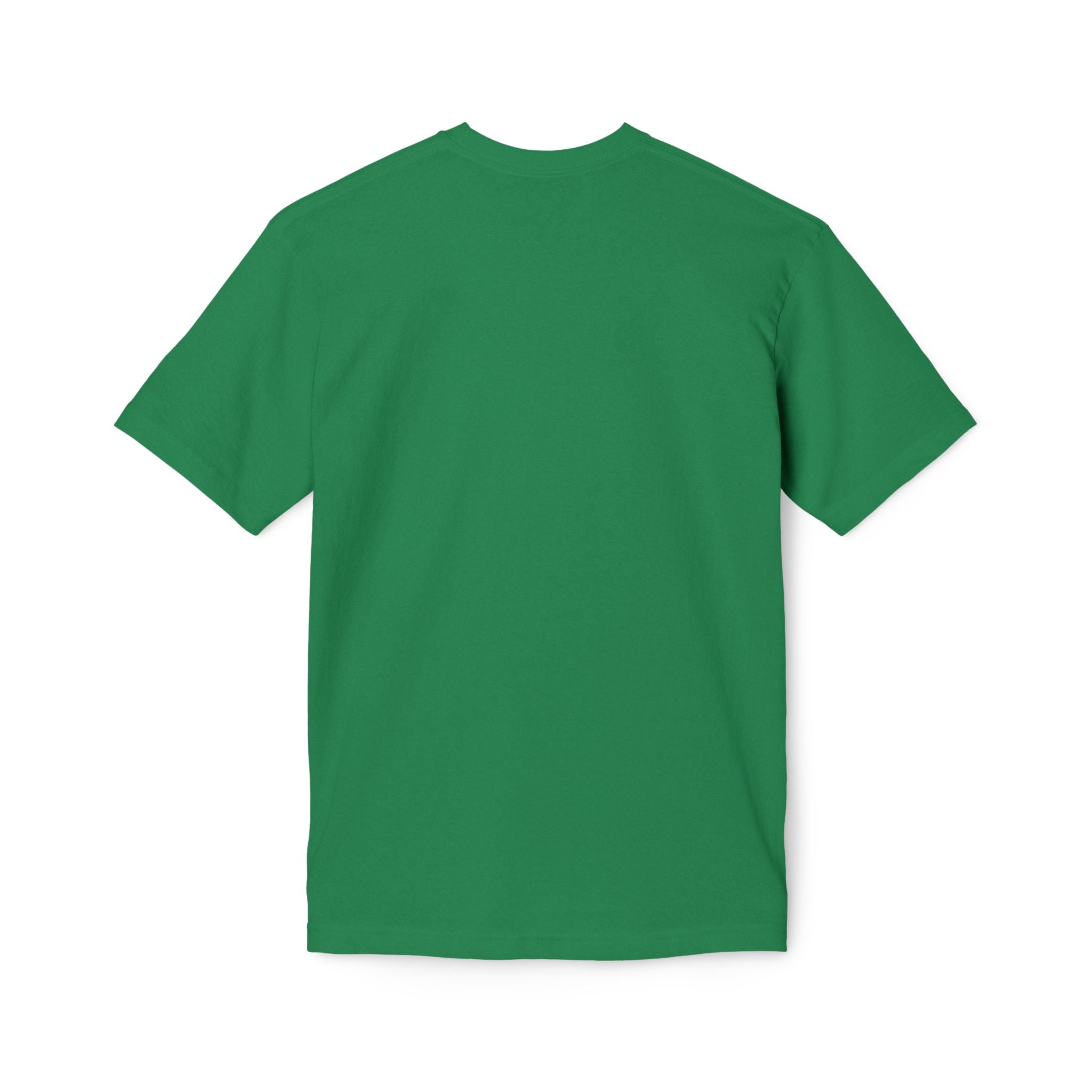 King of Kings Lion T-Shirt – Born of Faith Christian Graphic Tee